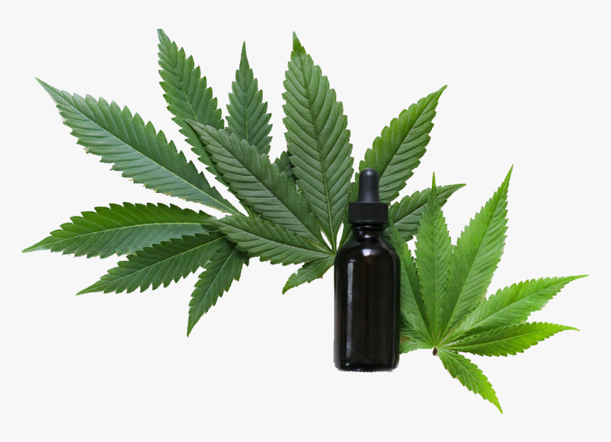 Cbd Hemp, HD Png Download, Free Download