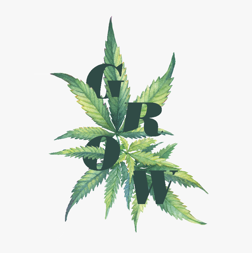 Cannabis, HD Png Download, Free Download