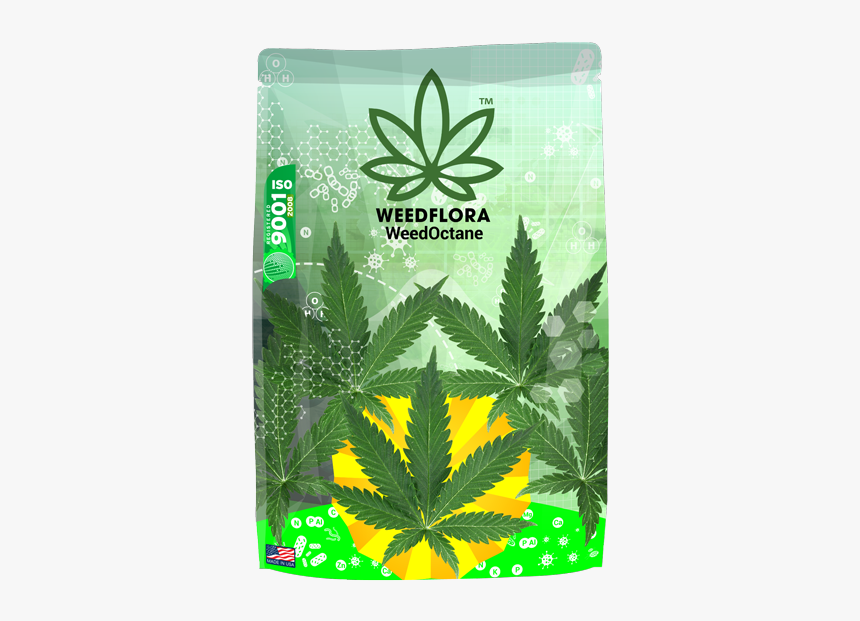 Bag Of Weed Png - Cannabis, Transparent Png, Free Download