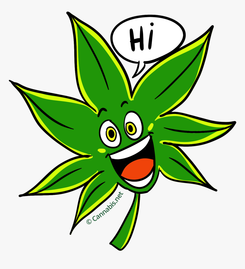Weed Clipart Hash - Hash Plant Clip Art, HD Png Download is free transparen...