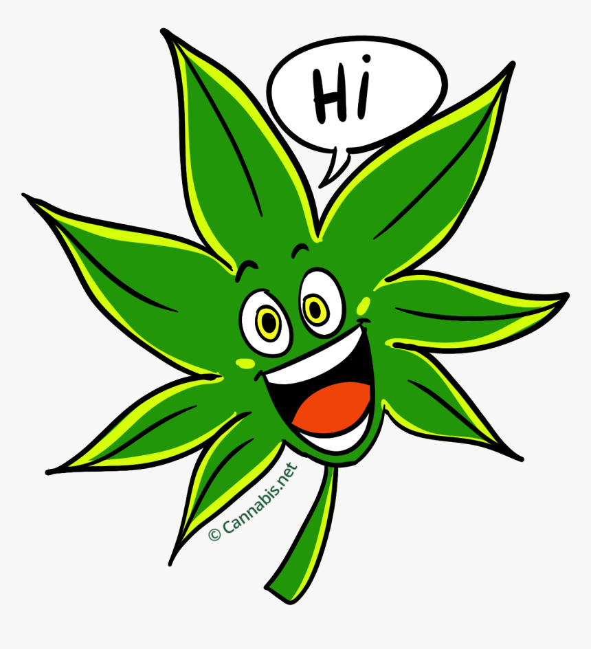 Weed Clipart Hash - Hash Plant Clip Art, HD Png Download - kindpng.