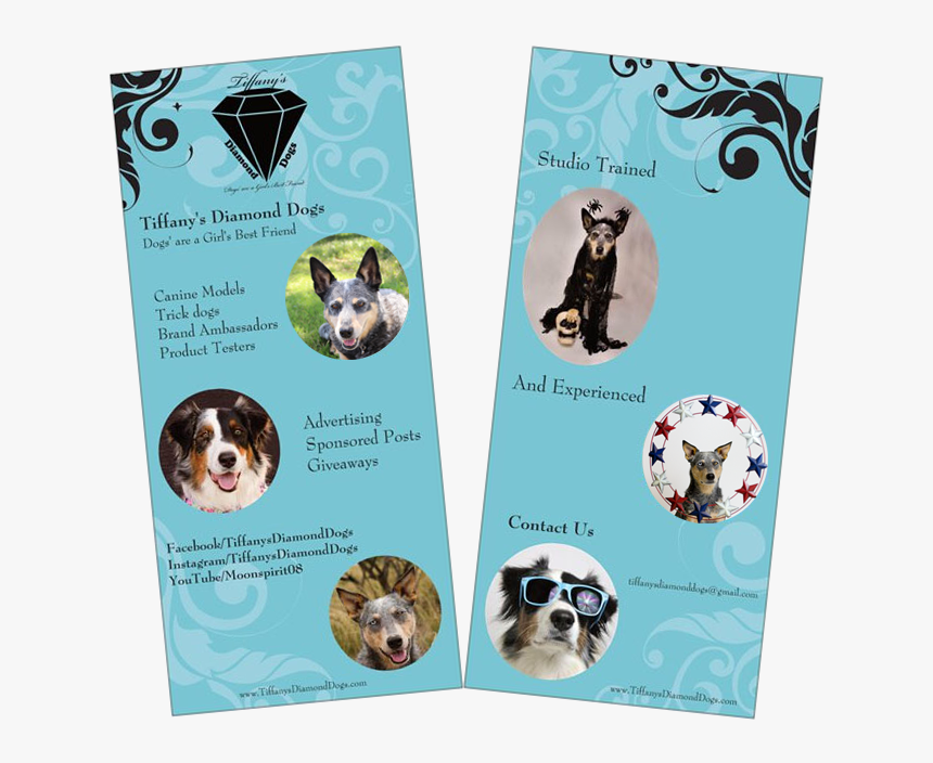 Tdd Conferencecards - Coonhound, HD Png Download, Free Download
