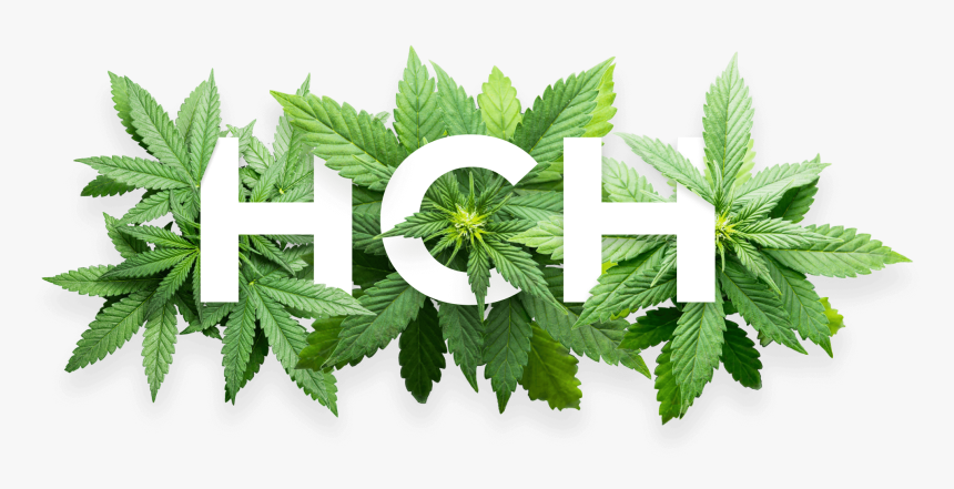 Transparent Weed - Cannabis, HD Png Download, Free Download
